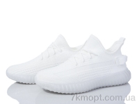 Купить Кроссовки Кроссовки Ok Shoes T98-1