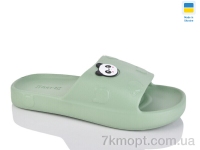Купить Шлепки Шлепки Progress Олімп Ж109 авокадо