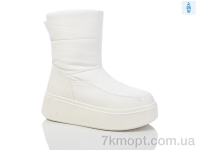 Купить Ботинки(зима) Ботинки Purlina 3886-3