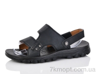 Купить Сандалии Сандалии Purlina A811-1