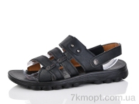 Купить Сандалии Сандалии Purlina A8856-1