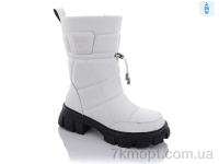 Купить Сапоги(зима) Сапоги Purlina P2315-3