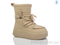 Купить Ботинки(зима) Ботинки Purlina PM3885-4
