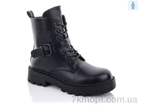 Купить Ботинки(весна-осень) Ботинки Purlina XL1580-1