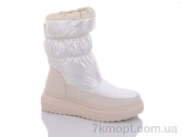 Купить Дутики Дутики Purlina XL3113-2