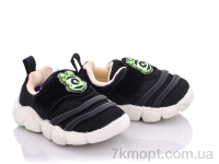 Купить Кроссовки  Кроссовки SANLIN AW921-1