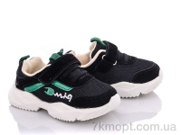 Купить Кроссовки  Кроссовки SANLIN AW957