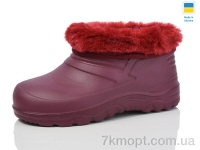 Купить Галоши Галоши SANLIN Галош дитячий бордо