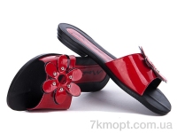 Купить Шлепки Шлепки Selena ромашка красный