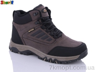 Купить Ботинки(зима)  Ботинки Sharif 3022-1