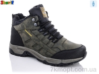 Купить Ботинки(зима)  Ботинки Sharif 993017-4
