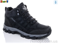 Купить Ботинки(зима)  Ботинки Sharif 993017H-1