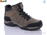 Купить Ботинки(зима)  Ботинки Sharif LM3012-1