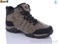 Купить Ботинки(зима)  Ботинки Sharif LM3012-4
