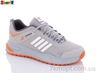 Купить Кроссовки Кроссовки Sharif S4187-3