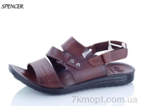 Купить Сандалии Сандалии Spencer 8649 коричневый