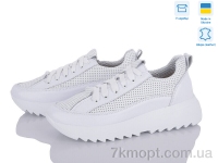 Купить Кроссовки Кроссовки Stella 168-44