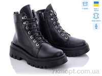 Купить Ботинки(зима) Ботинки Stella 260-19