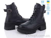 Купить Ботинки(зима) Ботинки Stella 43-02