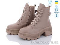 Купить Ботинки(зима) Ботинки Stella 43-03