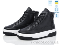 Купить Ботинки(весна-осень) Ботинки Stella EV10