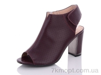 Купить Босоножки Босоножки Summer shoes X503-3