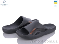 Купить Шлепки Шлепки Acorus 131 сірий