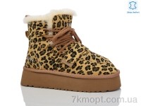 Купить Угги Угги Teetspace-Trasta-Egga WMP832-52