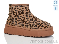 Купить Угги Угги Teetspace-Trasta-Egga WMP835-52