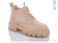 Купить Ботинки(весна-осень) Ботинки Teetspace-Trasta-Egga WX267-3