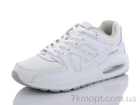 Купить Кроссовки Кроссовки Veer-Demax 2 B3066-13