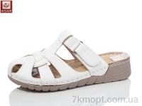 Купить Шлепки Шлепки WSMR 8885-2