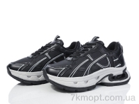 Купить Кроссовки Кроссовки Захар-Gold TK167