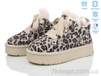 Купить Угги Угги Violeta M6131-9 beige-leopard