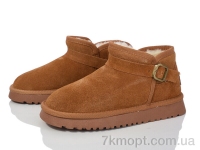 Купить Угги Угги Violeta PN2581 camel