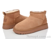 Купить Угги Угги Violeta PN2582 camel