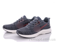 Купить Кроссовки Кроссовки Violeta Z14(2025) grey