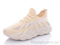 Купить Кроссовки Кроссовки Summer shoes D60-5