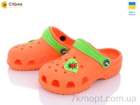 Купить Кроксы Кроксы Clibee 116159