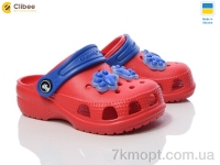 Купить Кроксы Кроксы Clibee 116705