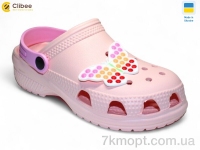 Купить Кроксы Кроксы Clibee 116814