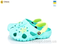 Купить Кроксы Кроксы Clibee 117084C