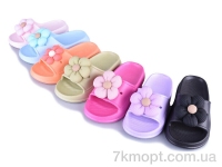 Купить Шлепки Шлепки Progress 356 mix