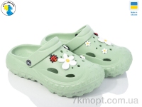 Купить Кроксы Кроксы Jose Amorales 124054 зелений