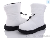 Купить Дутики Дутики Захар-Gold 039-2