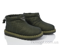 Купить Дутики Дутики Захар-Gold 057-5