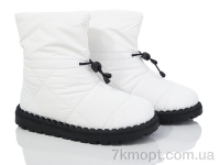 Купить Дутики Дутики Захар-Gold 059-2