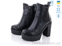 Купить Ботинки(зима) Ботинки Stella 818-2