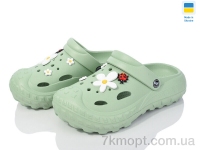 Купить Кроксы Кроксы Progress Крокси 054 олива