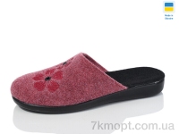 Купить Тапки Тапки Inblue 122-3 червоний